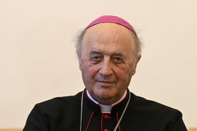 Jan Graubner | Photo: Michal Krumphanzl, ČTK